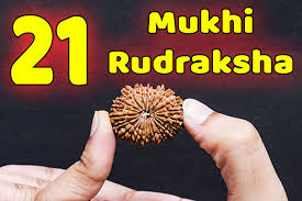 21 Mukhi Rudraksh